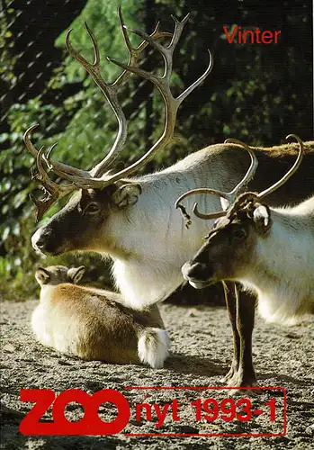 Zoo nyt 1993-1. 