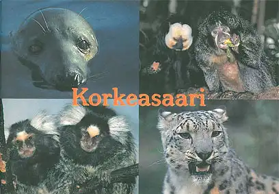 Guidebook. Korkeasaari. (vier Tierfotos). 
