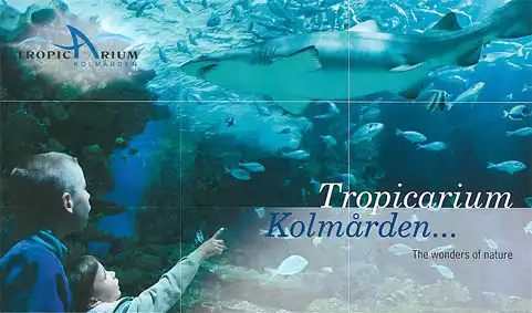 Tropicarium Kolmarden ? The wonders of nature (Kinder vor Aquarium mit Hai). 