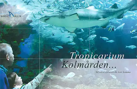 Tropicarium Kolmarden … Sa nära naturen du kann komma (Kinder vor Aquarium mit Hai). 