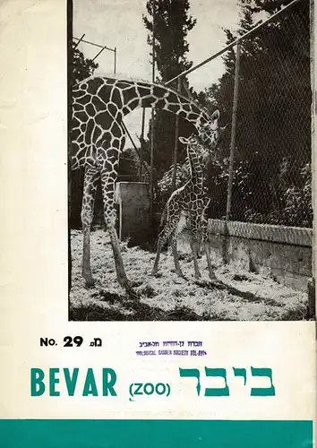 Bevar (Zoo) Januar 1969, No.29. 