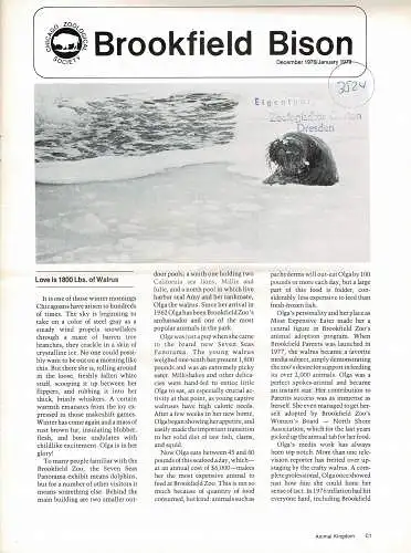 Chicago Zoological Society, BISON (December 1978/January 1979). 