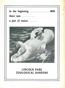 In the beginning there was a pair of swans (notes on the early days). 