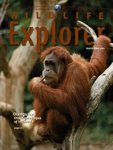 Wildlife Explorer, March/April 2001. 
