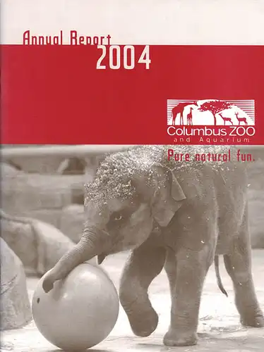 Annual Report 2004. 