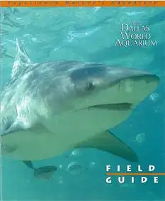 The Dallas World Aquarium, Field Guide (Hai  von vorne). 
