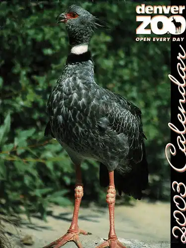 2003 Calendar. 