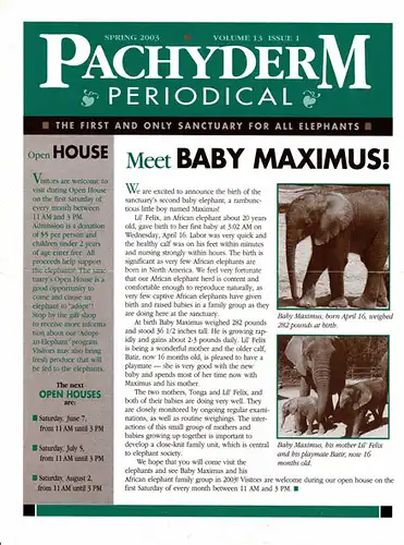 Pachyderm Periodical, Spring 2003 (Vol. 13, Iss. 1). 