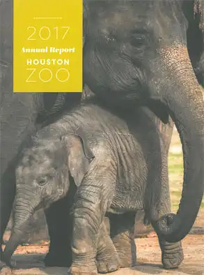 Annual Report 2017 (Elefant mit Junges). 