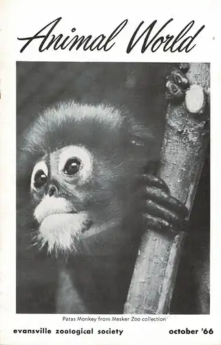 Animal World Vol. 3 October 1966, No. 4. 
