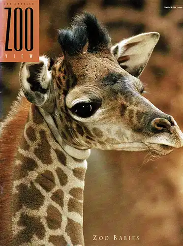 ZOO VIEW Magazine, Winter 2000 (Zoo Babies). 