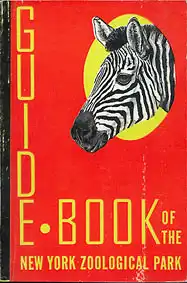 Guide Book (Zeichnung Zebrakopf). 