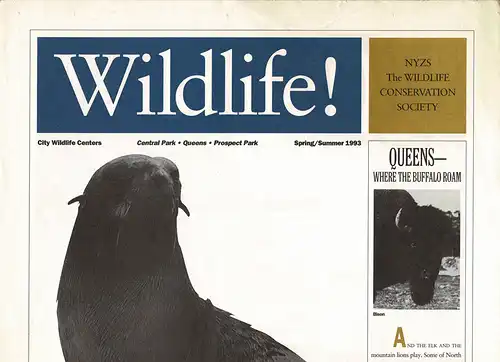 Wildlife! Spring / Summer 1993 (Robbe) mit Pl?nen von Central Park, Queens, Prospect Park. 