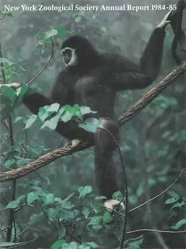 Annual Report 1984-1985. 