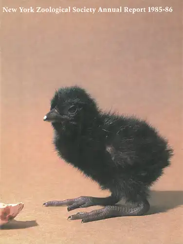 Annual Report 1985-1986. 