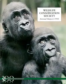 Annual Report 1995. 