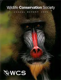 Annual Report 1999. 