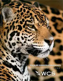 Annual Report 2000. 