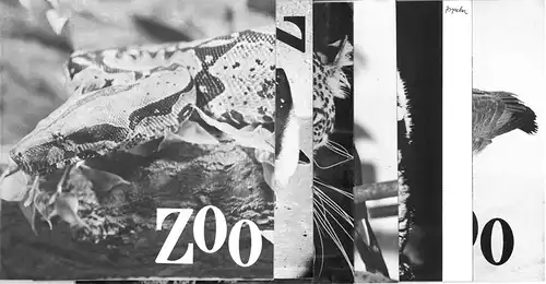 Zoo Vol. IX, No.1-6. 