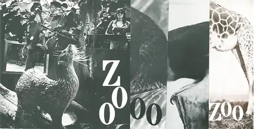 Zoo Vol. XI, No.1-4. 