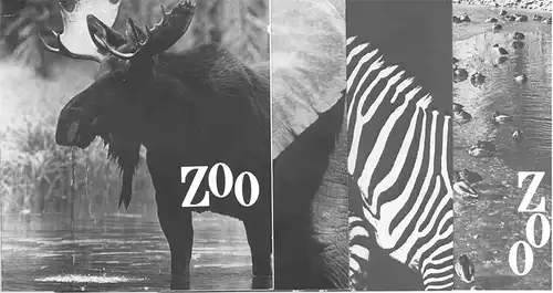 Zoo Vol. XII, No.1-4. 