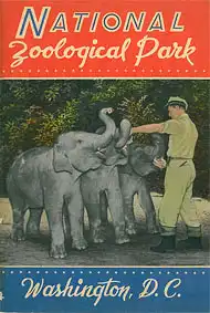 Guide (junge Elefanten mit Pfleger). 
