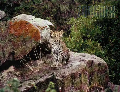 Zoogoer Vol. 19, Nr. 5: Calendar 1991 issue. 