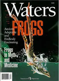 "Waters" (Autumn 1998). Frogs. 