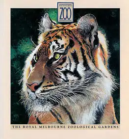Guide (Zeichnung Tiger). 