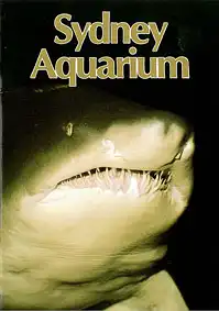 Guide, Sydney Aquarium (Grey Nurse Shark). 