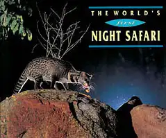 Guide "The World's First Night Safari". 