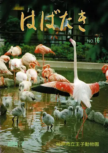 Kobe Oji Zoo, NO.16, 1984 / 7. 