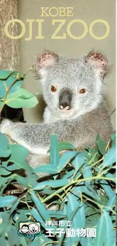 Lageplan/Kurzinfo Koala. 