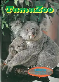 Zooführer (Koala mit Jungtier). 