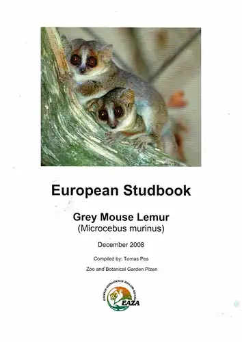 European Studbook Grey Mouse Lemur(Microcebus murinus). 