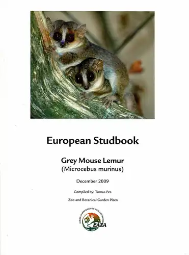 European Studbook Grey Mouse Lemur(Microcebus murinus). 