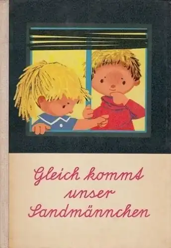 Gleich kommt unser Sandmännchen.Sandmännchens Reise durch das Jahr. Ein musikalisches Bilderbuch. 