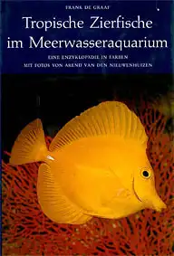 Tropische Zierfische im Meerwasseraquarium. 