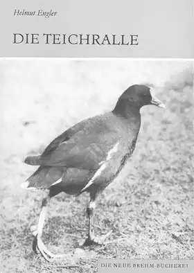 Die Teichralle. Gallinula chloropus. (Neue Brehm-Bücherei. Band 536). 