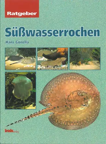 Ratgeber: S??wasserrochen - s?damerikanische S??wasser-Stechrochen. 