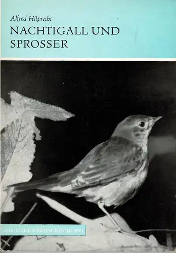 Nachtigall und Sprosser. (Neue Brehm-Bücherei, Band 143) 2., überarb. Auflage. 