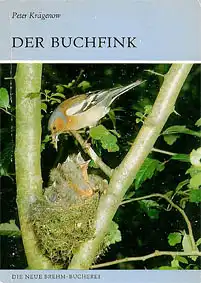Der Buchfink. Fringilla coelebs. (Neue Brehm-Bücherei Band 527). 