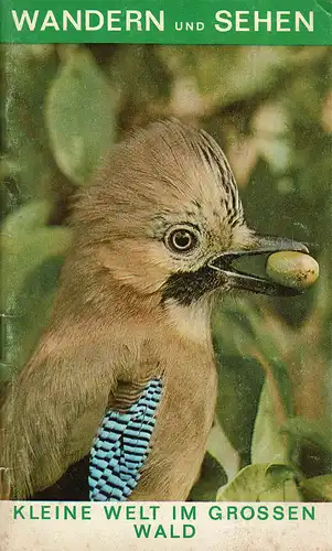Wandern und Sehen: Kleine Welt im grossen Wald. 