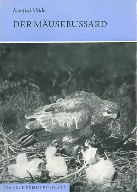 Der Mäusebussard. Buteo buteo buteo (L.) (Neue Brehm Bücherei, Heft 185) 2. erw. Auflage. 