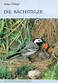 Die Bachstelze. Motacilla alba (Neue Brehm-Bücherei Heft 571). 