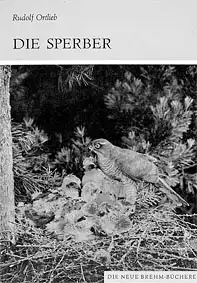 Die Sperber. (Neue Brehm-Bücherei Band 523) 2. Auflage. 