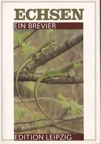 Echsen. Ein Brevier. 