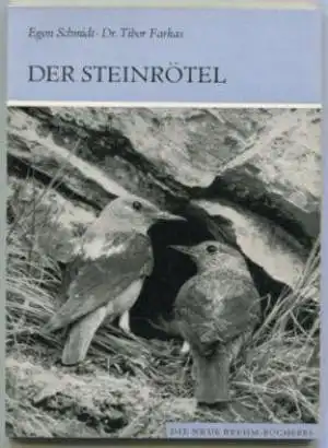 Der Steinrötel. Monticola saxatilis. (Neue Brehm-Bücherei Band 478). 
