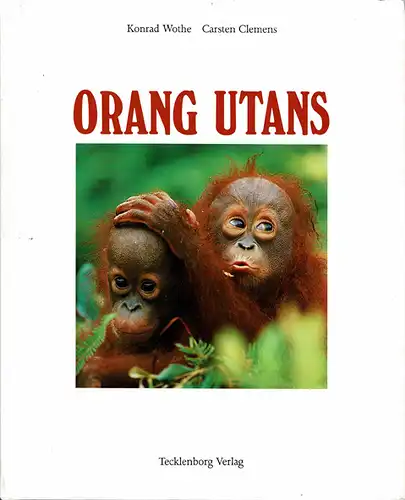 Orang Utans. Die Waldmenschen von Sumatra und Borneo. 