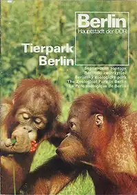 Berlin-Information (Orangs). 